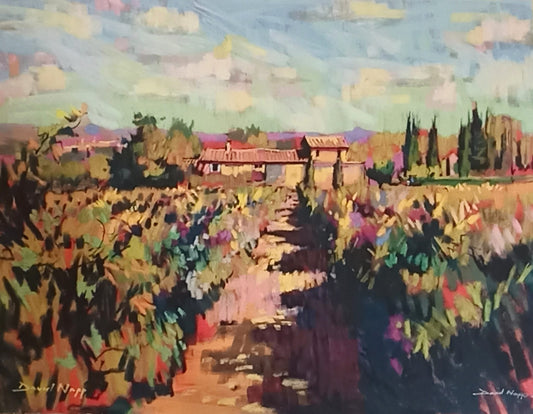 "Provence" van David Napp