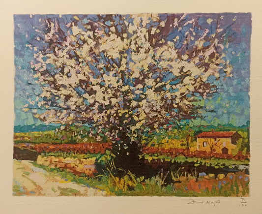 David Napp, Giclee