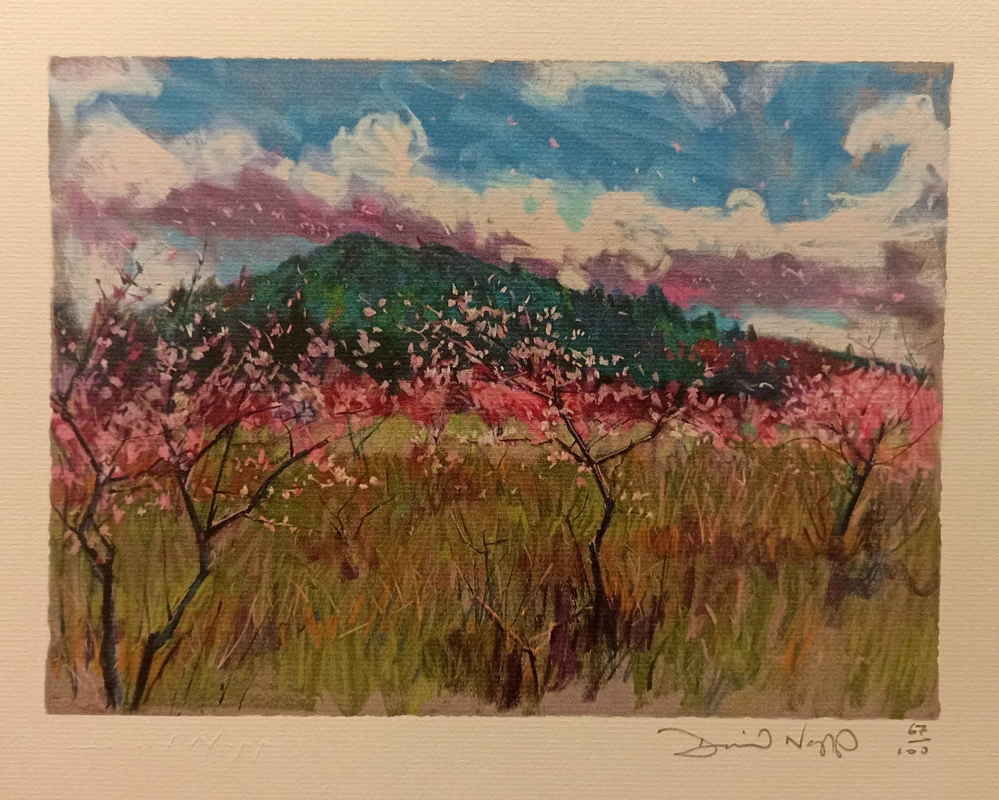 David Napp, Giclee